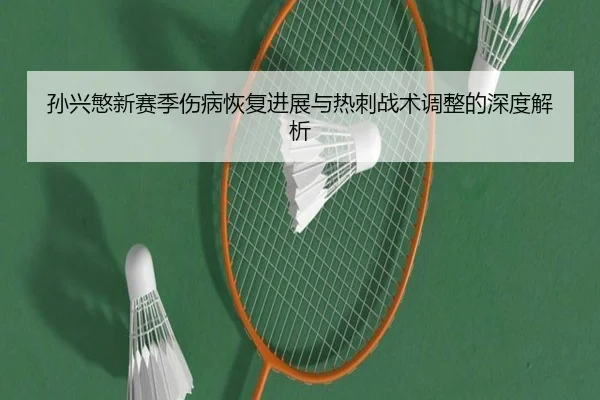 孙兴慜新赛季伤病恢复进展与热刺战术调整的深度解析